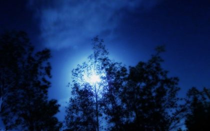 Yalda Night image ©S.Ali.Al Mosawi, licensed under Creative Commons